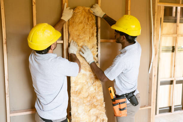 Best Insulation Removal Services  in Hauppauge, NY