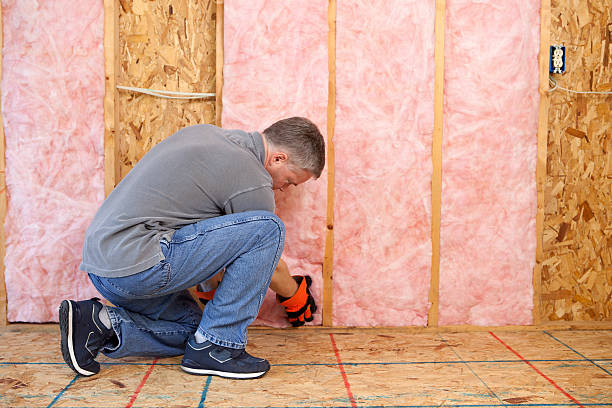 Best Insulation Contractors for Homes  in Hauppauge, NY