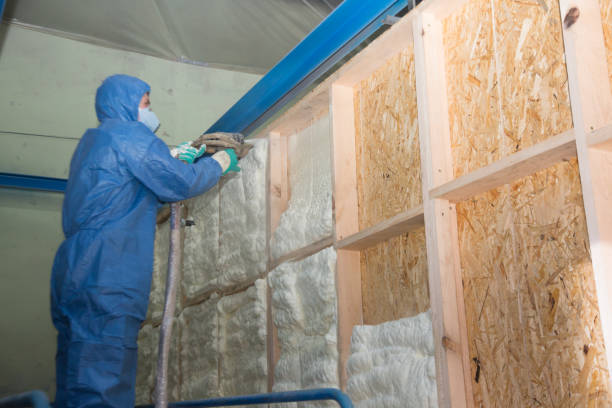 Best Spray Foam Insulation  in Hauppauge, NY